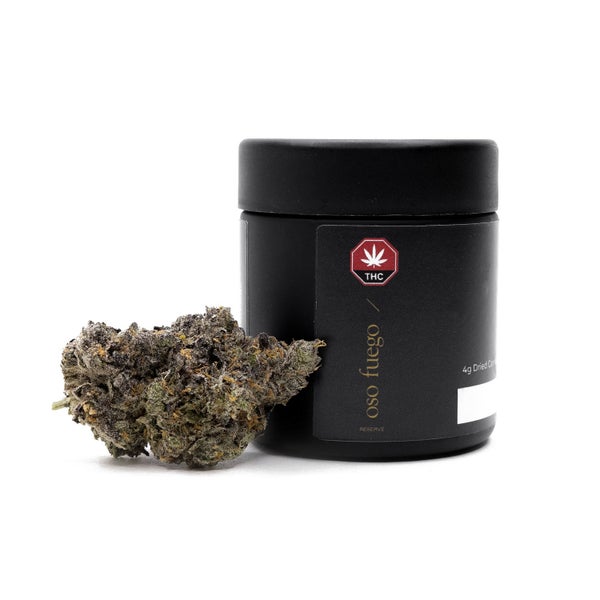 RainbowChip4-OsoFuego-05 (5) RainbowChip4-OsoFuego-05 (5)