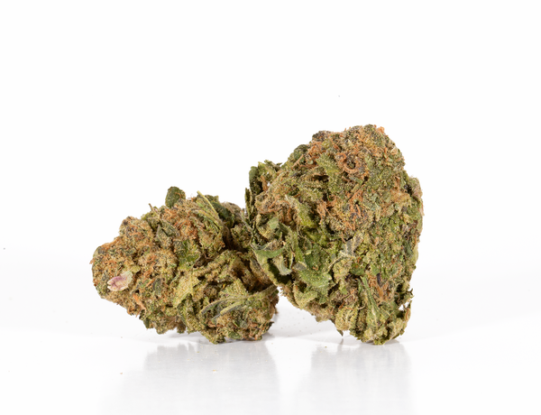 Shiva-Skunk-2a.png Shiva-Skunk-2a.png