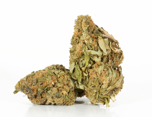 Tasty Waves 2a Tasty Waves 2a