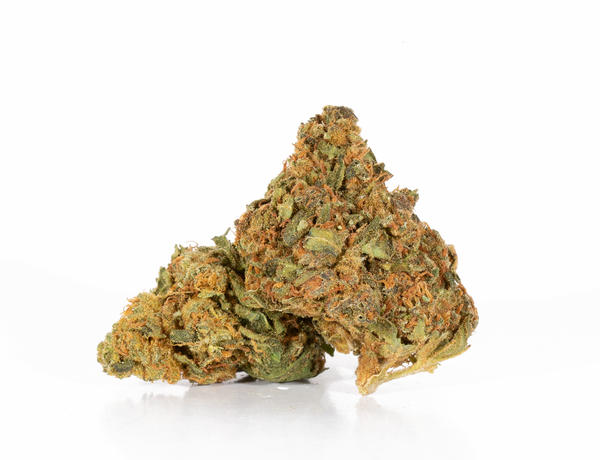 Where_s My Bike 2 Where_s My Bike 2