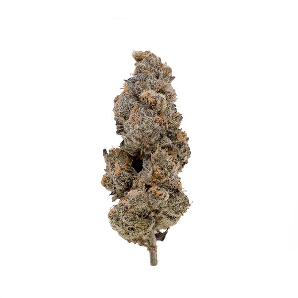 AnimalCrackers-CreamoftheCrop-03