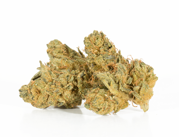 Bluefin Tuna 2a Bluefin Tuna 2a