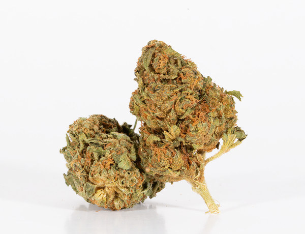 Lagoon-2.png Lagoon-2.png