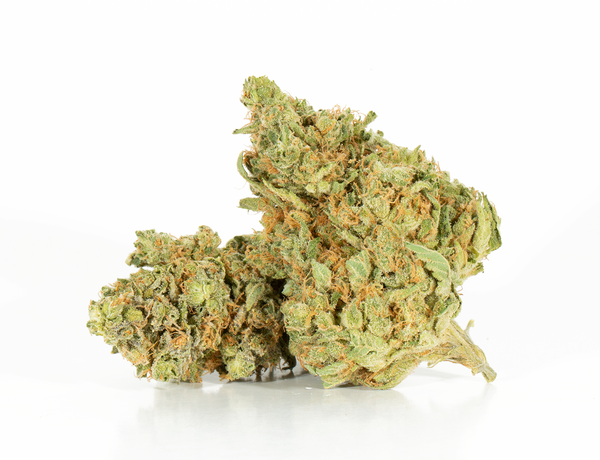 Lemon Skunk 2a Lemon Skunk 2a