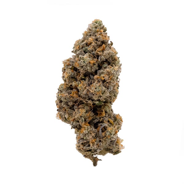 Melonatta-03 Melonatta-03