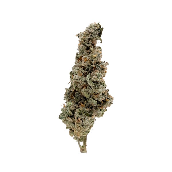 Okanaganja-GarlicCookies-03