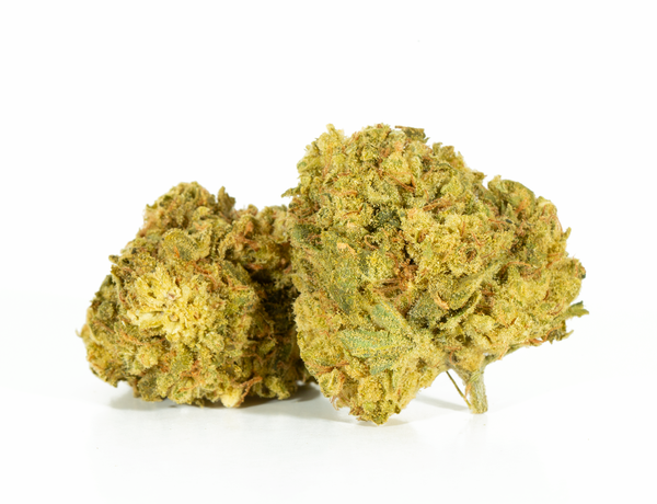 White-Castle-2.png White-Castle-2.png