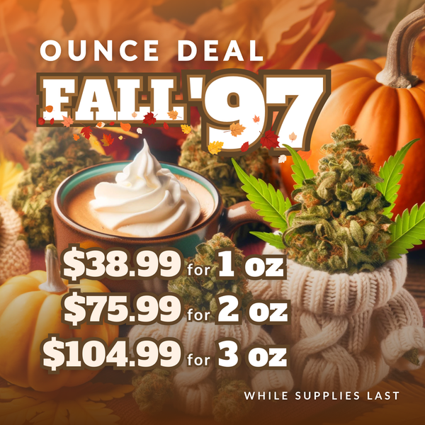 2462548_D44PromoOunceFall-97_1500x1500_091124 2462548_D44PromoOunceFall-97_1500x1500_091124