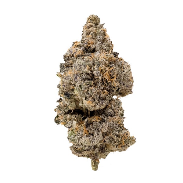 Biscotti-03 Biscotti-03