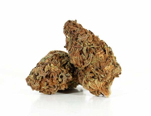 Black Jack 2 Black Jack 2