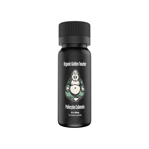 Buddha – Golden Teacher