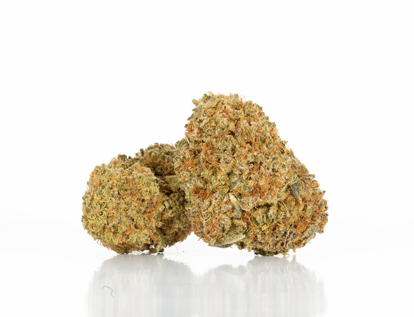 Cinderella 99 – 2a Cinderella 99 – 2a