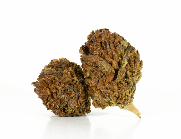 Dark Cross 2 Dark Cross 2