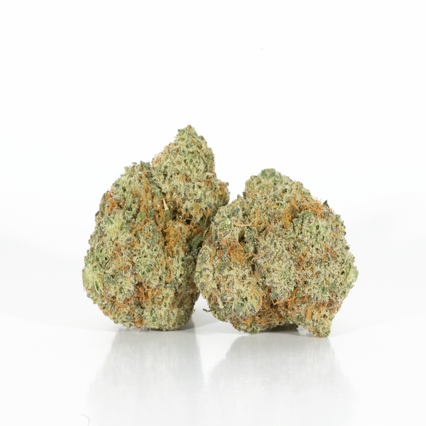Donkey Butter NEW2