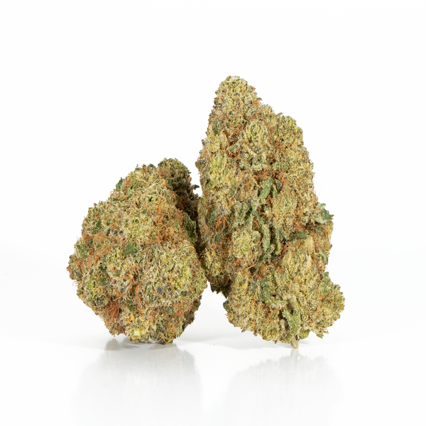 Gelato 2