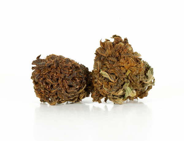 Irish Cream 2 Irish Cream 2