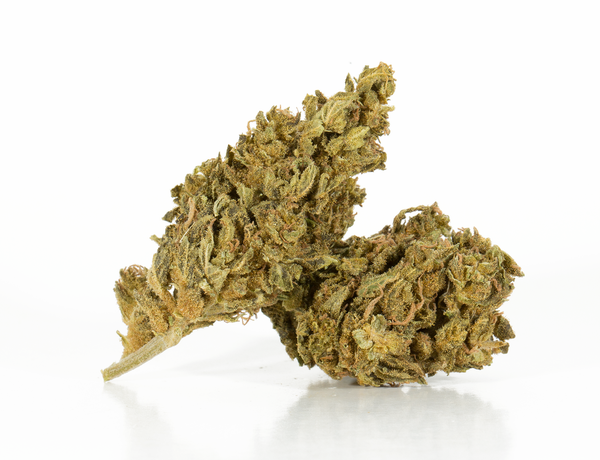 Mango Tango 2 Mango Tango 2