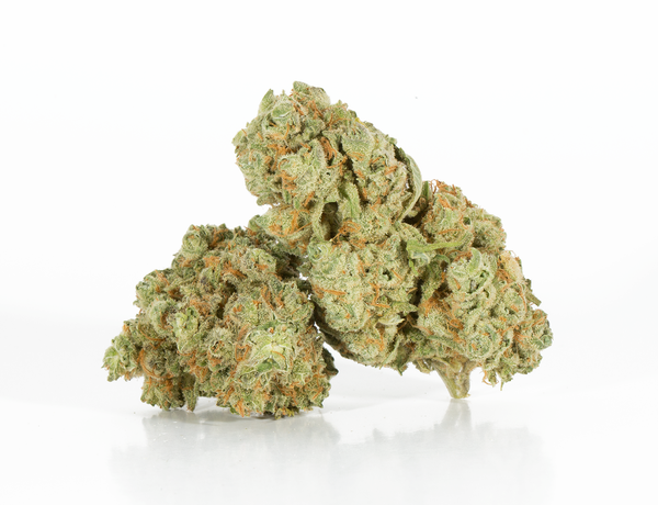 Power Plant 2 Power Plant 2