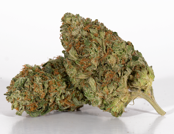 Purple-Bubba-2-1.webp Purple-Bubba-2-1.webp