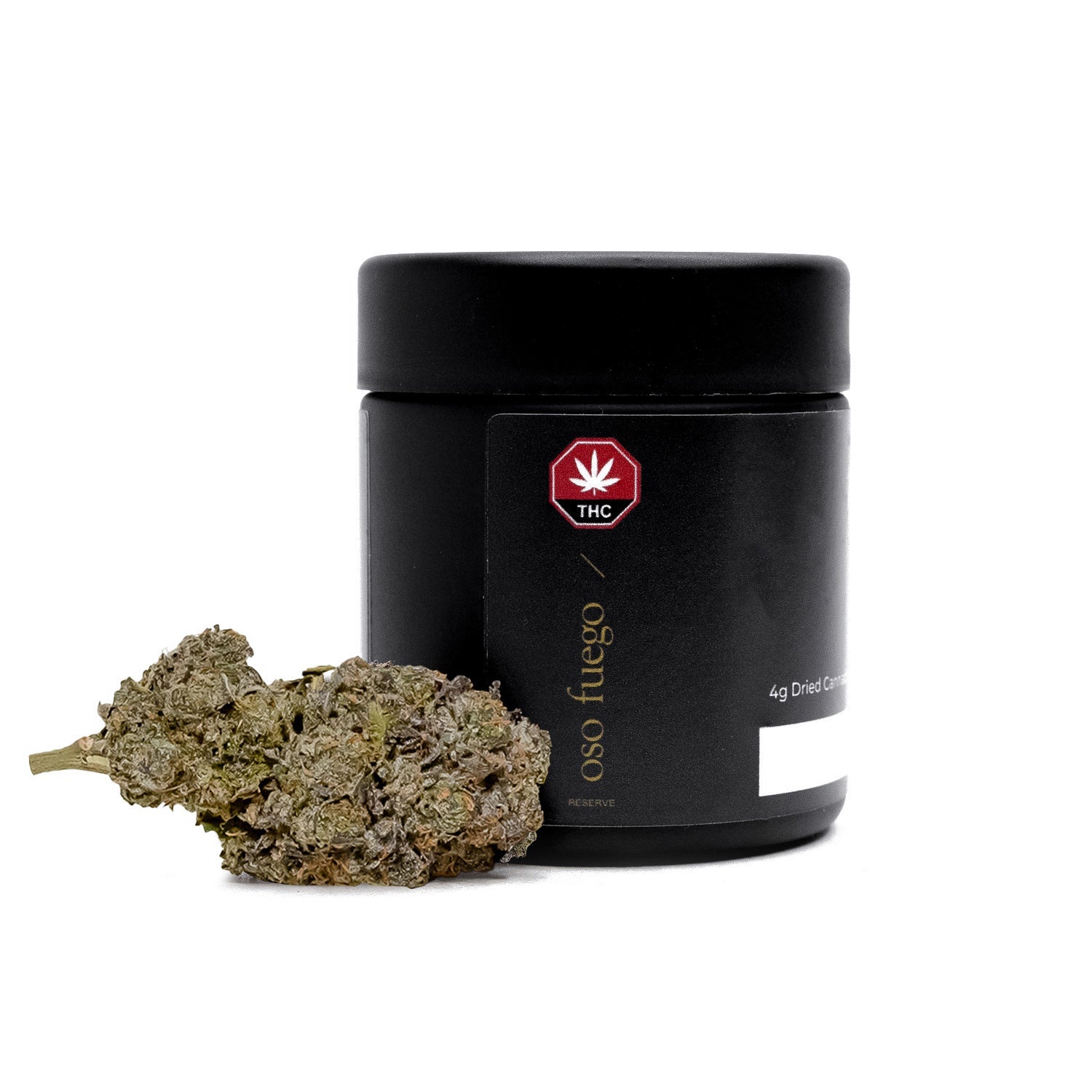 RainbowChip3-OsoFuego-08