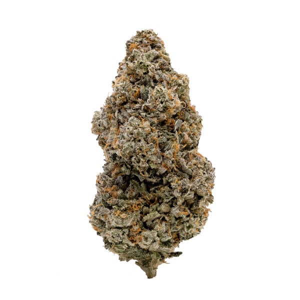 SourBestShitEver-Albatross-03