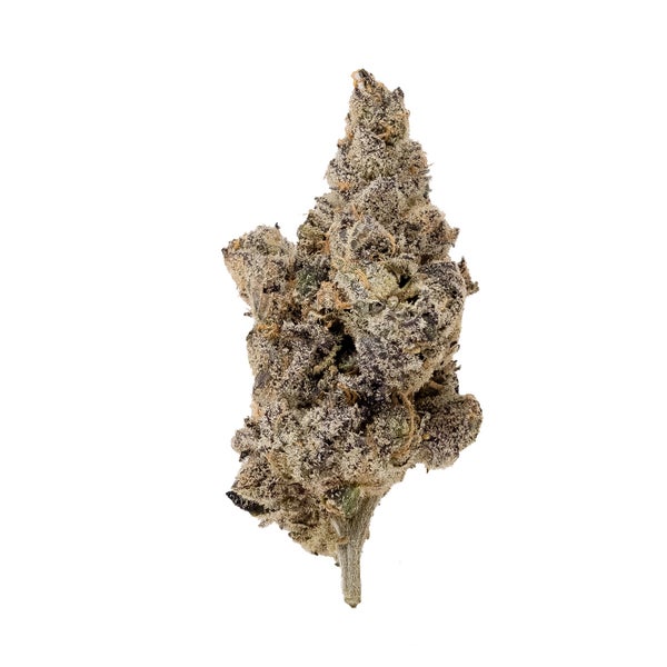 SpaceCake-03 SpaceCake-03