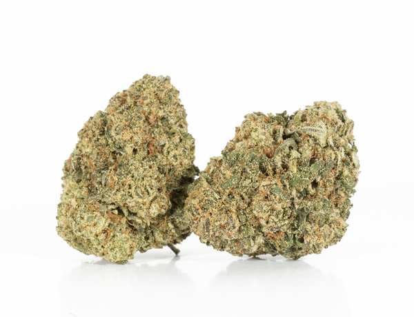 Unicorn Poop NEW2 Unicorn Poop NEW2