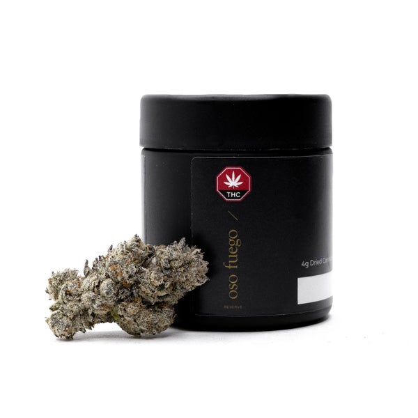 Warhead-OsoFuego-07 (1)