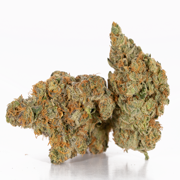 Dawg-GMO-1.webp