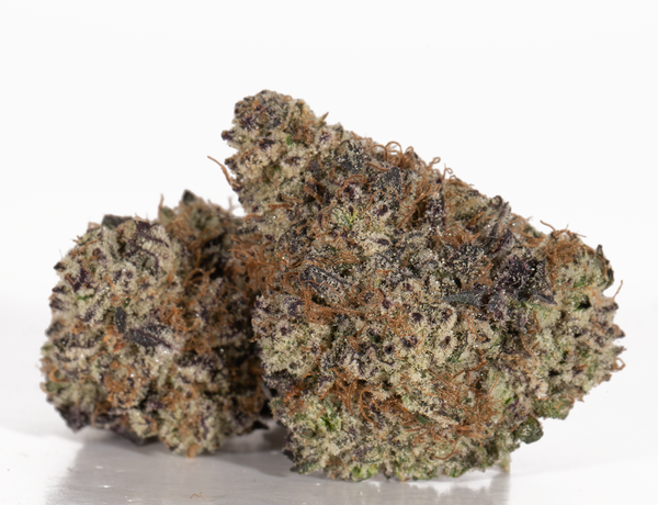 Frisco-Snaps-2-1.png Frisco-Snaps-2-1.png