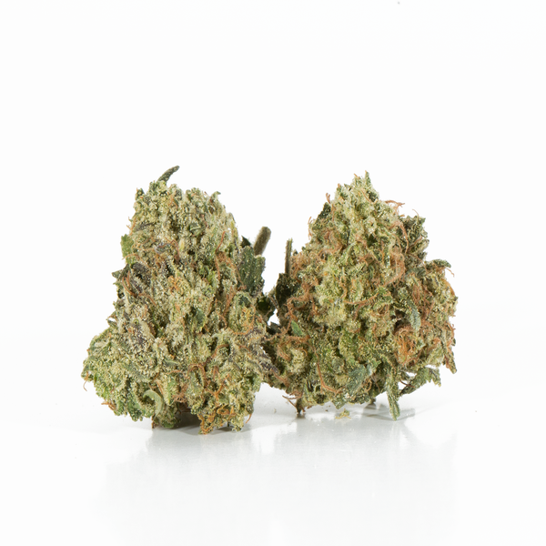 Ghost Bubba (smalls) 2