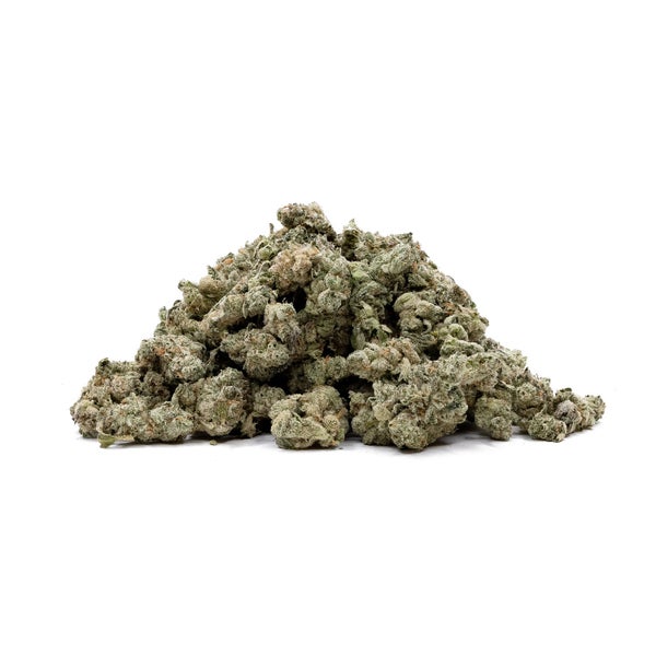 GirlScoutCookies-JungleRidge-02 GirlScoutCookies-JungleRidge-02