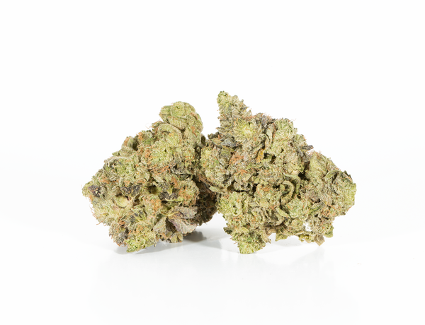 Gorilla Glue 2a Gorilla Glue 2a