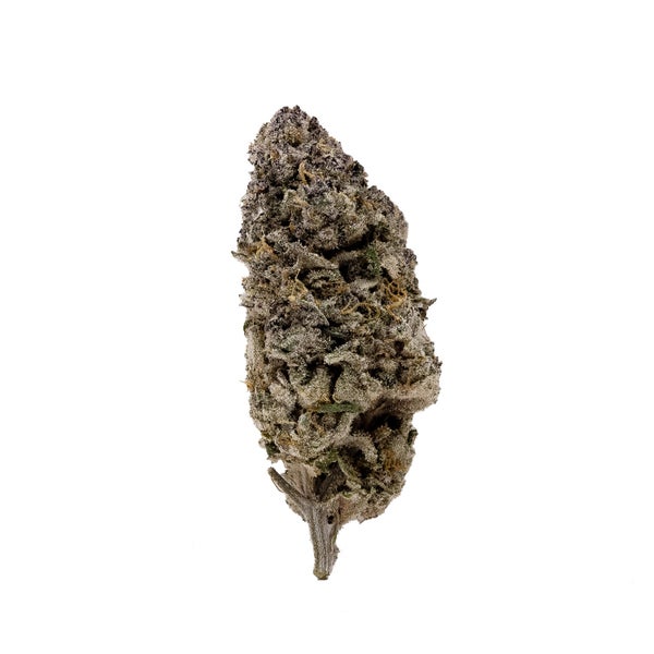 HalleBerry-Mums-03