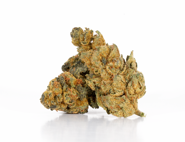 Pacific-Frost-2.png Pacific-Frost-2.png