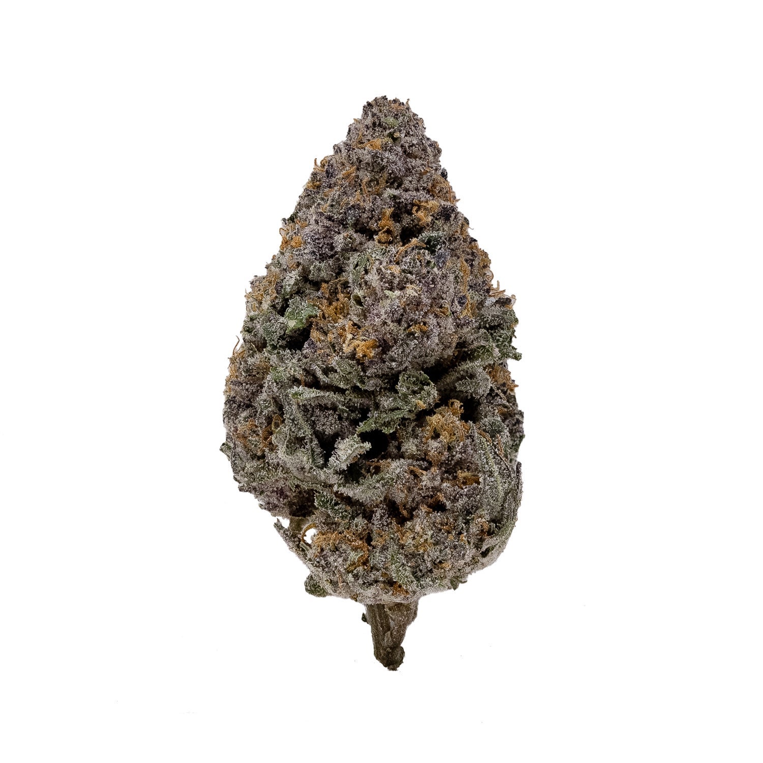 TropicalGas-Mums-03