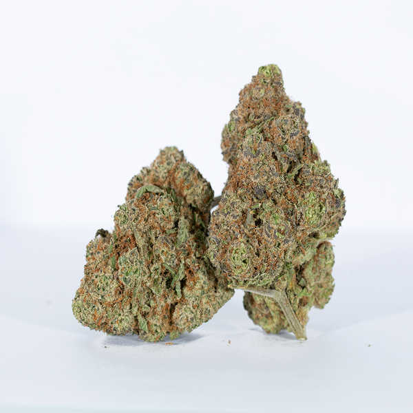 White-Caviar-1-1.webp
