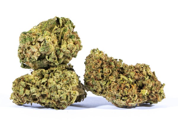 White-Cheese-AA.jpg White-Cheese-AA.jpg