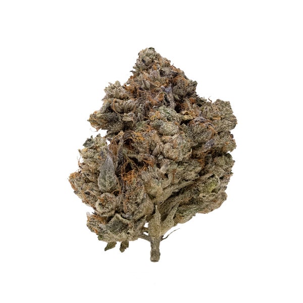 AnimalCookies-LuckyFarms-03 AnimalCookies-LuckyFarms-03
