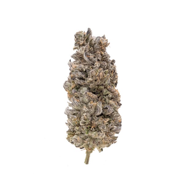 GummyBuns-03 GummyBuns-03