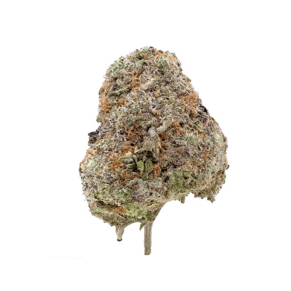 BlackDomina-03 BlackDomina-03
