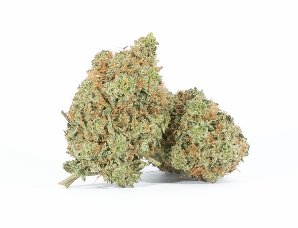 Critical Mass 1 Critical Mass 1