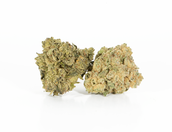 Greese Monkey 2 Greese Monkey 2