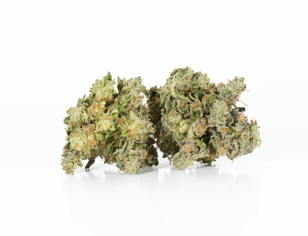 Northern Lights 2 Northern Lights 2