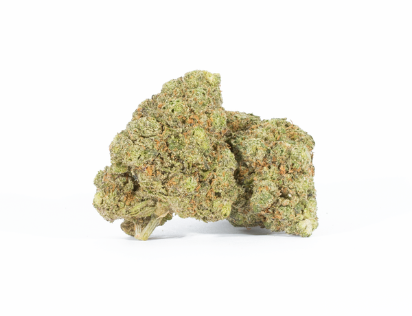 Peach Crescendo 1 Peach Crescendo 1