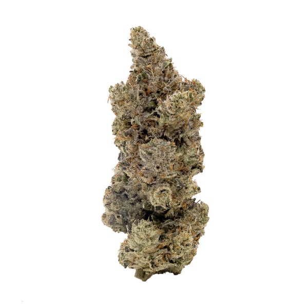 PinkGrease-Albatross-03 PinkGrease-Albatross-03
