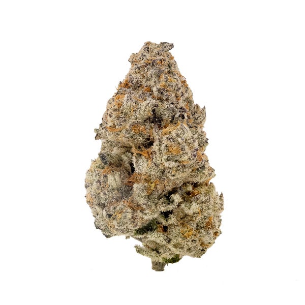 PunchBreath-Albatross-03