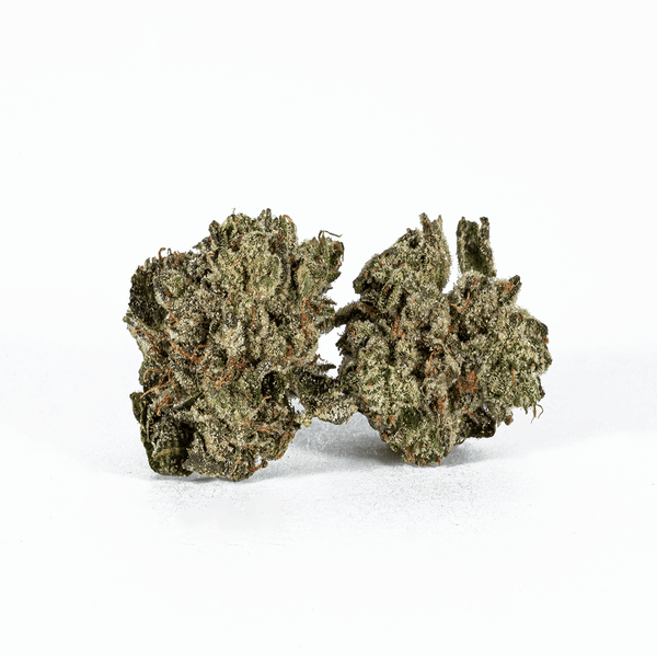 Rockstar (smalls) – 1