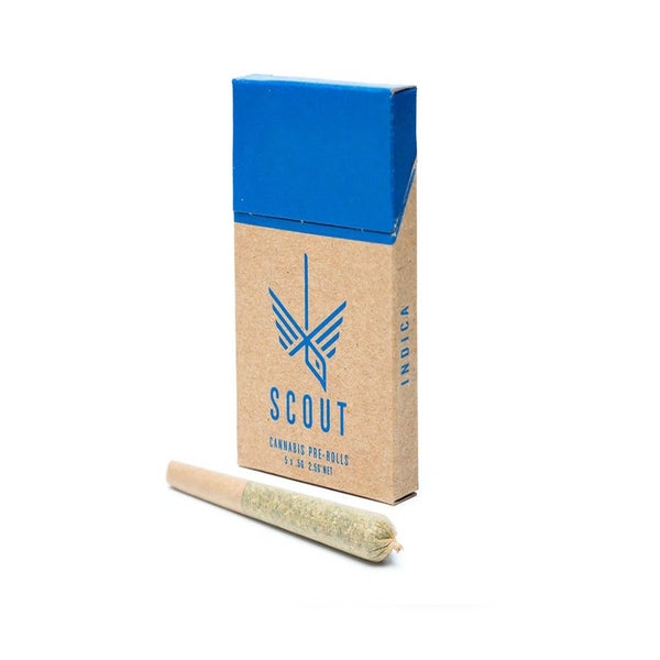 Scout-Indica-Pre-Roll