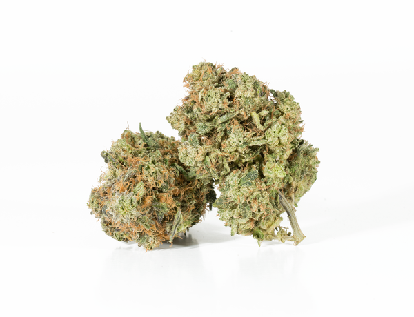 Skywalker OG 1 Skywalker OG 1